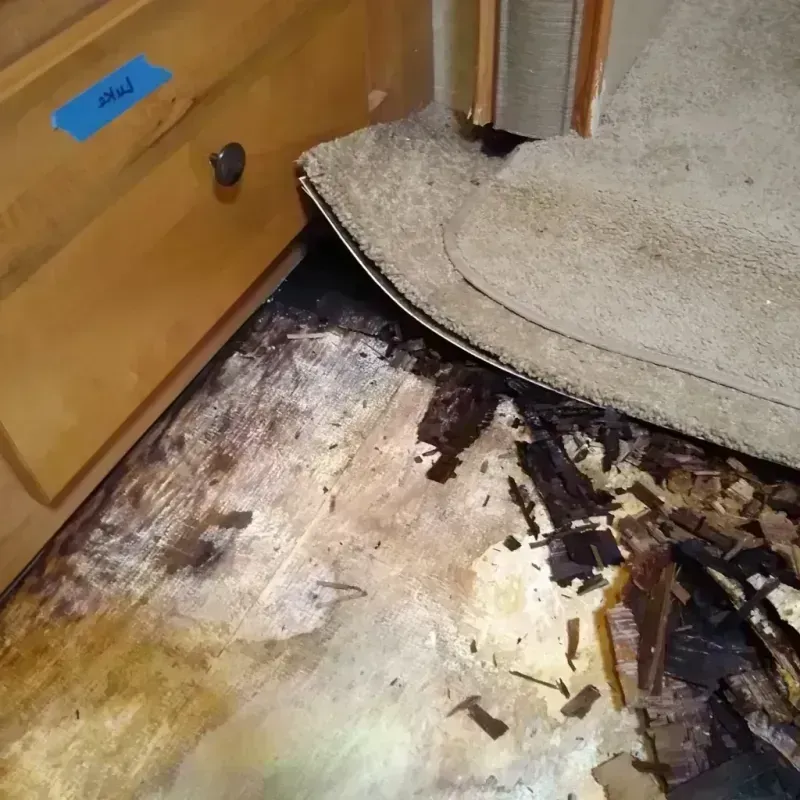 Wood Floor Water Damage in Ellinwood, KS